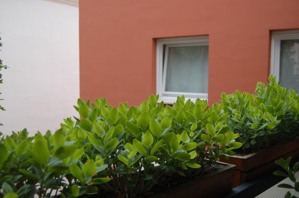 Buda Castle Apartments Boedapest Kamer foto