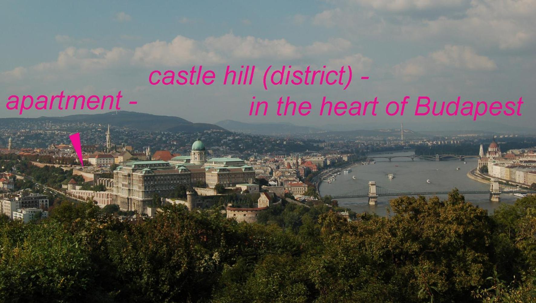 Buda Castle Apartments Boedapest Buitenkant foto